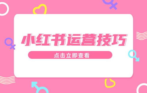 小红书自助业务真的全网最低价吗？揭秘最省钱的操作技巧！