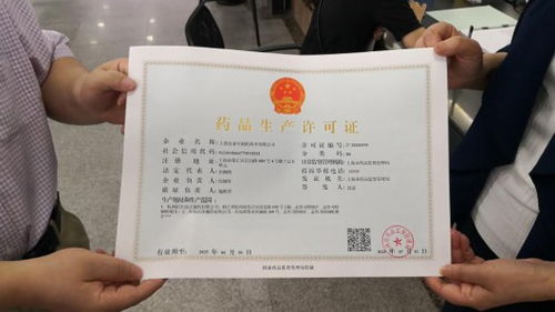 如何访问上海证书自助服务网站？这是您的终极指南吗？