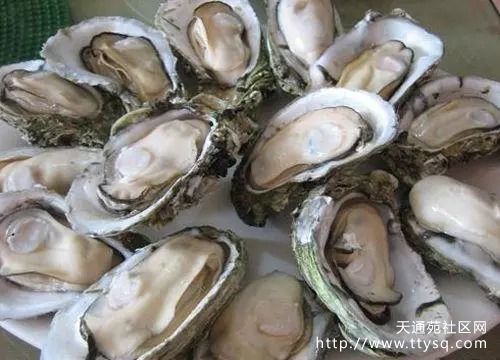想要低价品尝临沂新鲜生蚝？揭秘一家生蚝自助团购平台，你试过了吗？