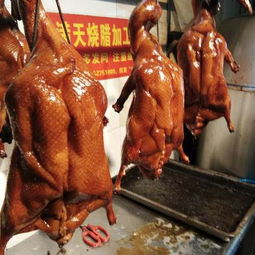 卖烤鸭和烧鸭哪个更赚钱？你真的了解吗？
