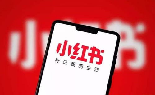 上海有哪些值得关注的副业公司？它们提供哪些独特机会？