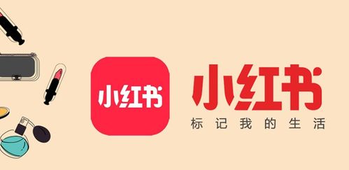 如何在兼职中玩转小红书点评，提升影响力？