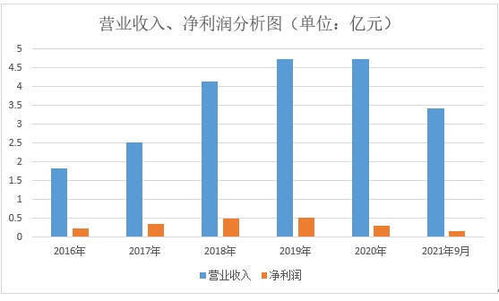 哪一种面条生产最具盈利潜力？市场分析告诉你答案