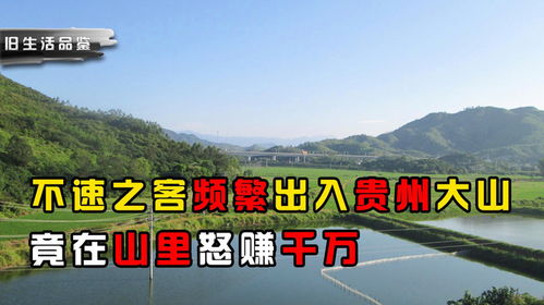 农村大山里有哪些快速赚钱的商机？