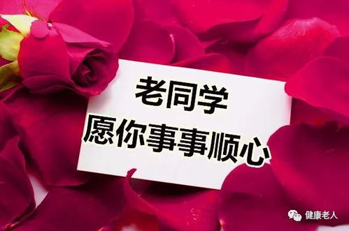 快过年了，卖花真的能赚钱吗？实拍视频告诉你真相！