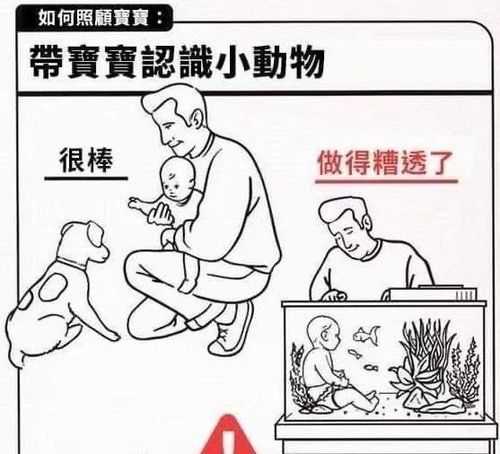 如何做到既能照顾孩子又不误副业发展？