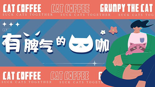 想在武汉猫咖兼职？这份招聘信息你了解了吗？