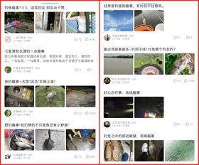 如何通过副业实现高效创收？你不可错过的交流秘籍