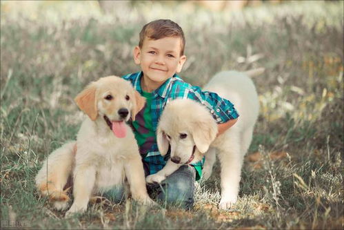 养护卫犬能带来可观收入吗？贴吧热议赚钱之道
