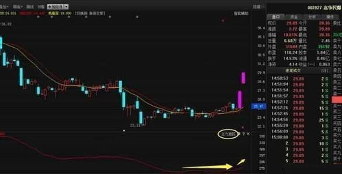 如何利用捡金赚钱选股公式实现高效投资？