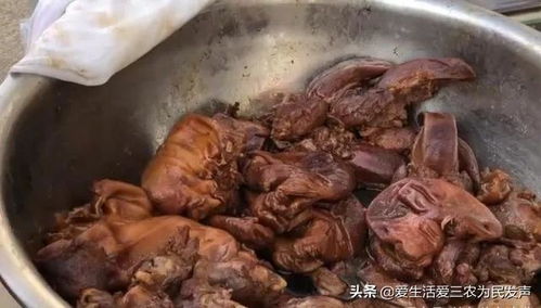 在街头售卖鸡苗，真的能盈利吗？值得一试吗？