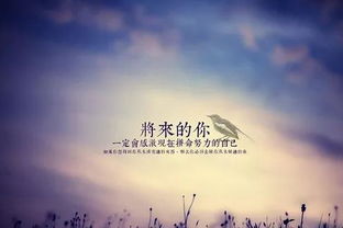 为什么现在的我如此拼命地想要赚钱？