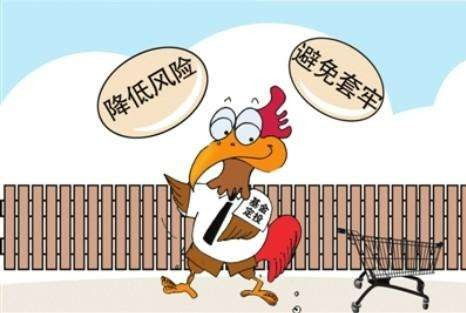 基金定投真的能保证稳赚不赔吗？长期投资是否值得信赖？