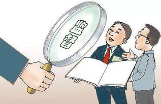 小白赚钱遭遇败诉，后果会是什么？
