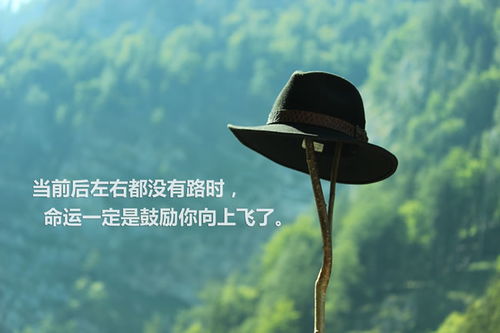 为何我们拼命赚钱，只为追求理想中的美好生活图景？