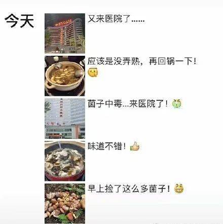 为何云南成为众多人谋生致富的热门选择？