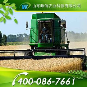 当前投资小麦联合收割机，能否实现盈利？