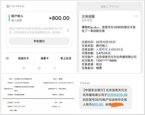 疫情期间，你尝试了哪些兼职副业来增加收入？