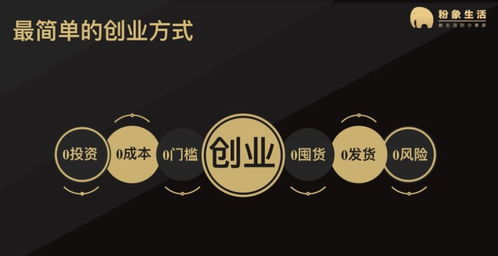 粉象生活副业平台真的能帮你实现财务自由吗？