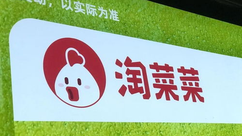 淘菜菜购车配送服务，真的能带来盈利吗？