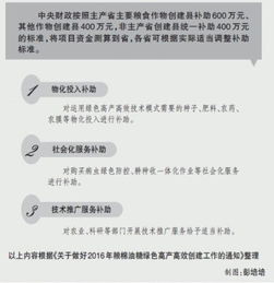 叶绿是如何实现高效盈利的？赚钱秘诀究竟在哪里？