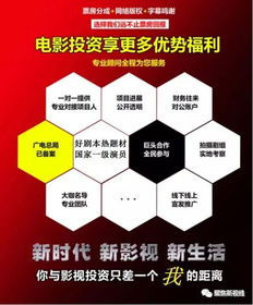 投资模型真的能帮你赚钱吗？揭开盈利背后的秘密