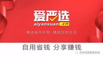 免费加盟项目真的能赚钱吗？现在有哪些靠谱的选择？