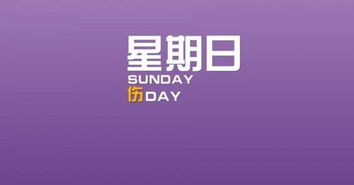 市面上众多赚钱软件，哪一款才能真正让人信赖？