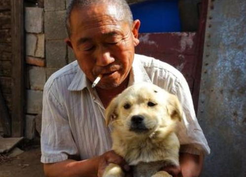 在农村养哪种小动物能赚钱？选择对了收益翻倍！
