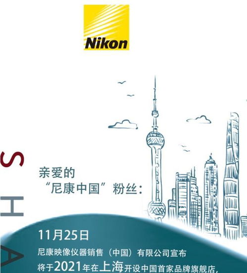 在新疆开设网店，哪些商品最具盈利潜力？