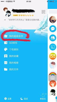 苹果用户如何免费领取QQ会员？此方法真实可靠吗？