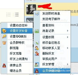 如何操作永久QQ会员刷软件？掌握正确方法