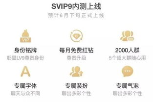 如何轻松实惠地获取QQ超级会员资格？